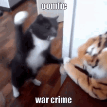 Oomfie War GIF - Oomfie War Crime GIFs