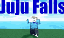 Juju Falls GIF