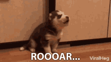 Roar Howl GIF - Roar Howl Awoo GIFs