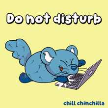 a cartoon of a mouse using a laptop with the words do not disturb chill chinchilla