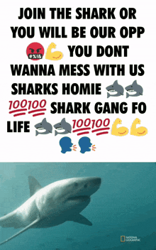 Shark-gang-join Shark Gang GIF - Shark-gang-join Shark Gang GIFs