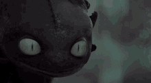 Raging Angry GIF - Raging Angry Toothless GIFs