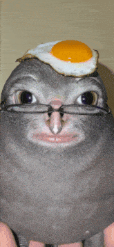 a pigeon with glasses and an egg on its head