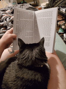 Cat Reading GIF - Cat Reading Read GIFs