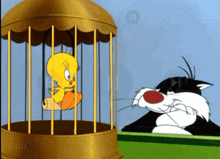 Looney Tunes Tweety Bird GIF