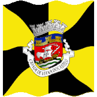 a black and yellow flag with a coat of arms and the words cidade de viana do castelo