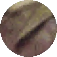 a pixelated image of a circle with a few lines on it
