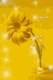 καλημερα Flower GIF - καλημερα Flower Yellow GIFs