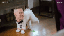Dog Pee GIF - Dog Pee Peeing GIFs