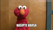 Nasipte Varsa Gaster31 GIF