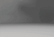 Moudred Bouncing GIF - Moudred Bouncing GIFs