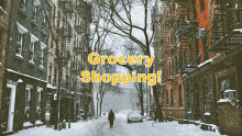 Grocery Shopping Globiness GIF - Grocery Shopping Globiness Globines GIFs