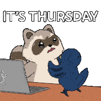 a cartoon of a raccoon and a bird with the words it 's thursday on the bottom