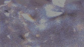 a shadow-of-kali.com advertisement with a purple background