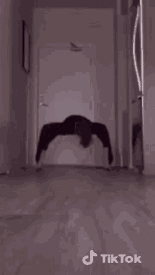 Spider Dancing GIF - Spider Dancing GIFs