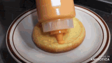 a bottle of ketchup is being poured on a sandwich on a plate that is made in animatica