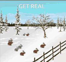 Get Real Fart GIF - Get Real Fart Troll GIFs