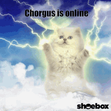 Chorgus GIF - Chorgus GIFs