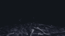 a skeleton is laying on the ground in a pile of bones .