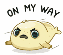 seal mr seal cute on my way omw