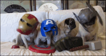 Pug Marvel GIF - Pug Marvel Avengers GIFs