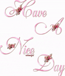 Have A Nice Day Greetings GIF - Have A Nice Day Greetings Pink GIFs