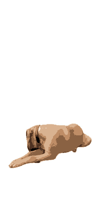 rhodesian ridgeback dog dog boerboel dog