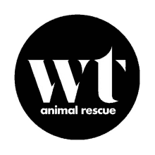 pets rescue