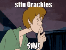 Grackles Shut The Fuck Up GIF - Grackles Shut The Fuck Up Stfu GIFs