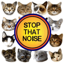 Stop That Noise Be Quite GIF - Stop That Noise Be Quite Cats Chorus GIFs