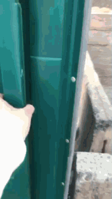 Toilet Funny GIF - Toilet Funny Post Picture GIFs
