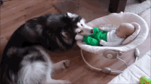 Can'T We Share The Chair? GIF - Dog Baby Friends GIFs