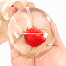 Angai313 Strawberry Bubble GIF