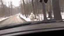 Yeti Abominable GIF - Yeti Abominable Snowman GIFs