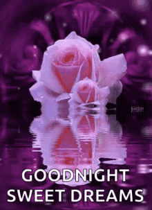 Goodnight Sweet Dreams GIF - Goodnight Sweet Dreams Reflection GIFs