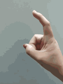 Tranqichaparral Finger GIF - Tranqichaparral Finger GIFs