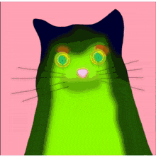 Quantum Cats Taproot Wizards GIF - Quantum Cats Taproot Wizards GIFs