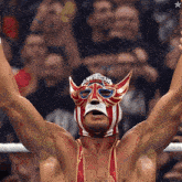a wrestler wearing a mask that says american