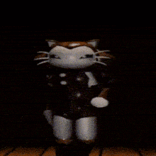 a brown and white cat is standing on its hind legs
