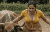 a woman in a yellow top stands next to a bull