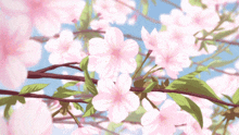 a tree with pink flowers and green leaves