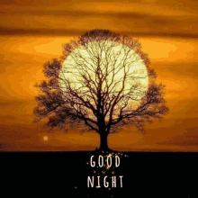 Good Night Gif GIF - Good Night Gif GIFs