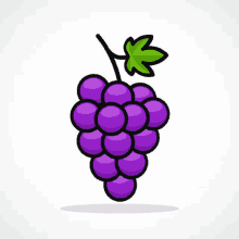 Grape Purple GIF