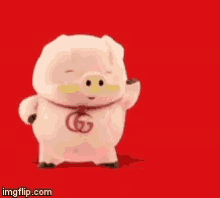Year Of The Pig Happy Lunar Year GIF - Year Of The Pig Happy Lunar Year Dancing GIFs
