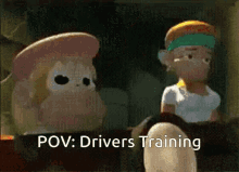 pov dk drivers training