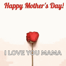 a heart made of red rose petals with the words `` happy mother 's day ! i love you mama '' .