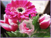 Pink Flower GIF - Pink Flower Roses GIFs