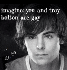 Queer Troy Bolton GIF - Queer Troy Bolton High School Musical GIFs