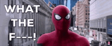 Wtf What The GIF - Wtf What The Spider Man GIFs