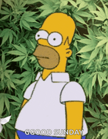 Homer Simpson Weed GIF - Homer Simpson Weed 420 GIFs